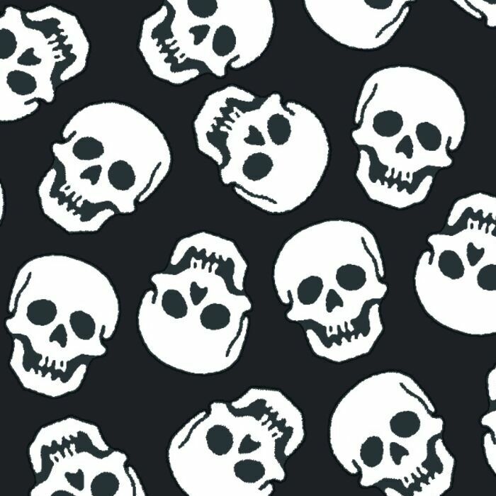 54010  Skull